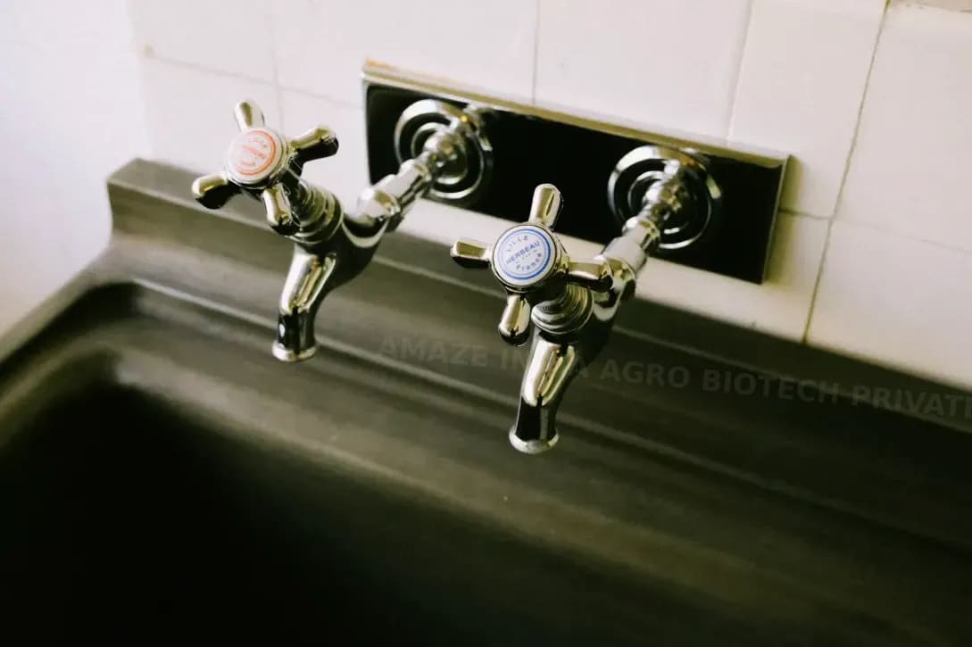 キッチンの排水をすっきり保つ日常ケア