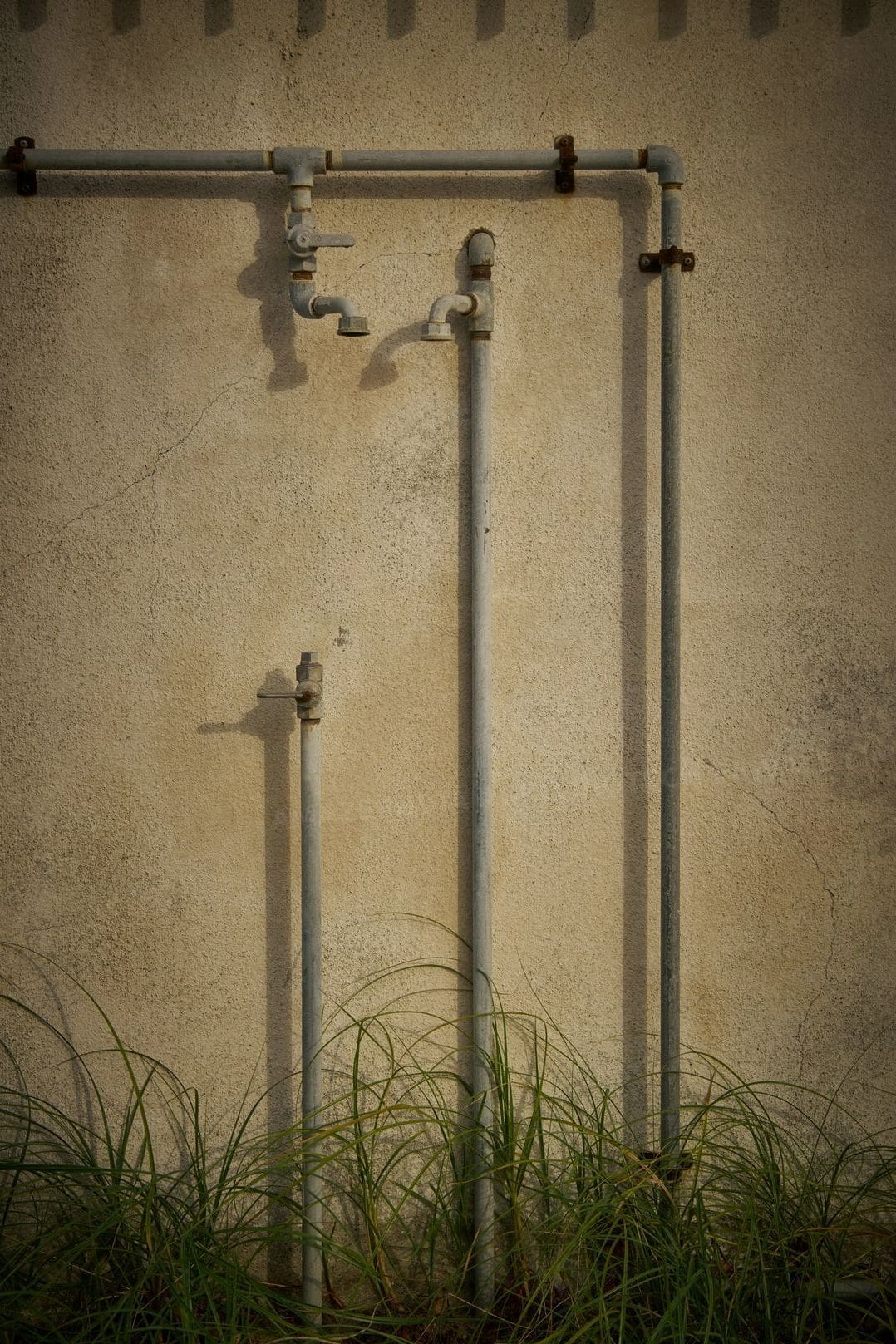 AMAZE INDIA AGRO BIOTECH PRIVATE LIMITED 9
